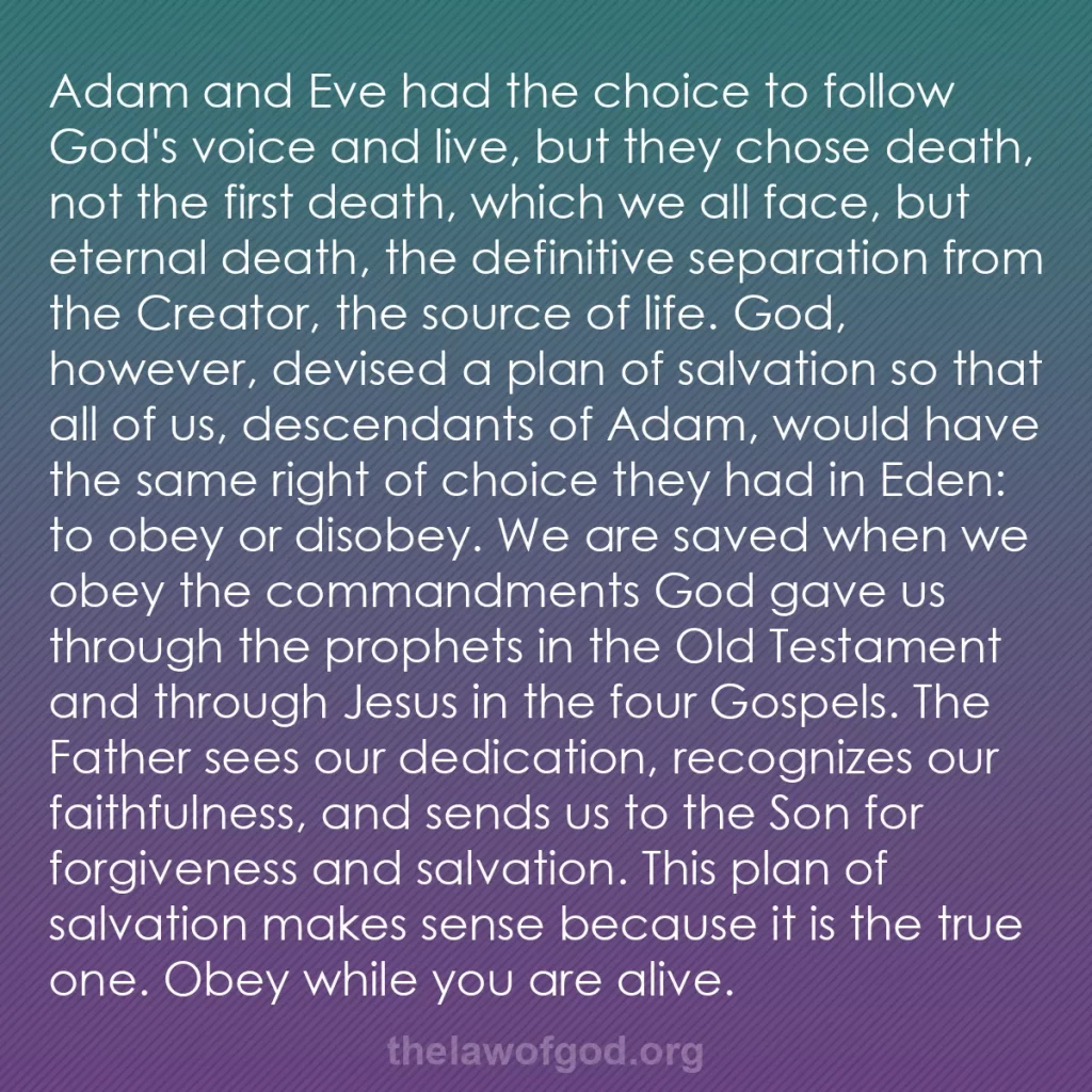 b0364 - Post about the Law of God: Adam and Eve had the choice to follow God's voice and live,...
