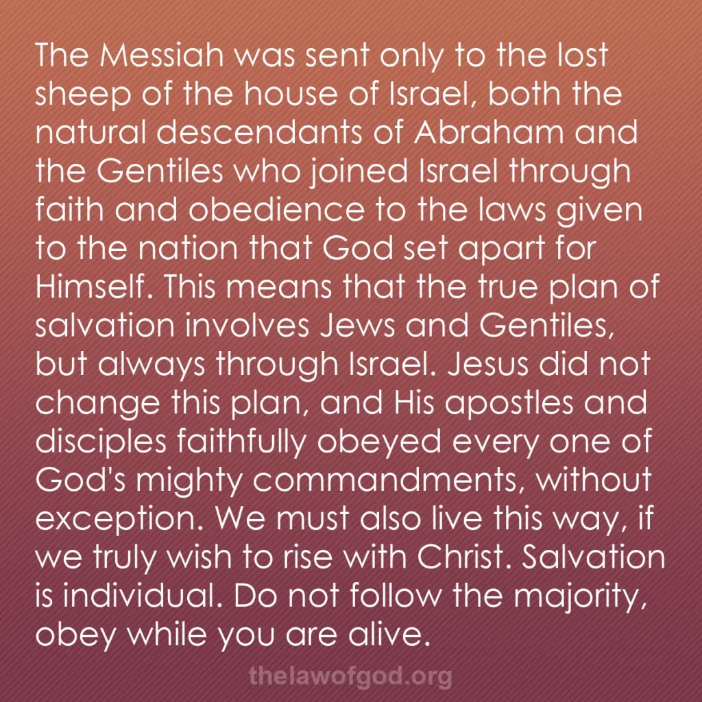 b0366 - Post about the Law of God: The Messiah was sent only to the lost sheep of the house of...