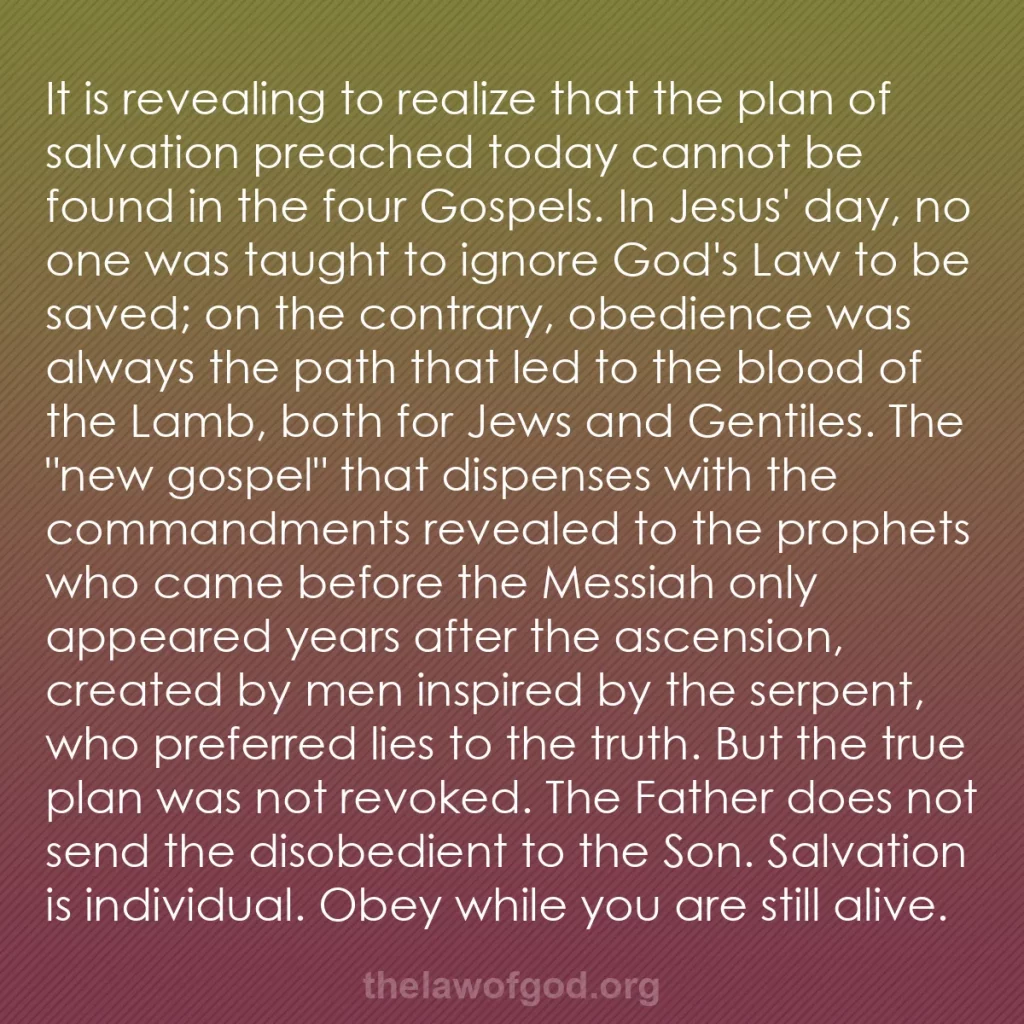 b0368 - Post about the Law of God: It is revealing to realize that the plan of salvation preached...