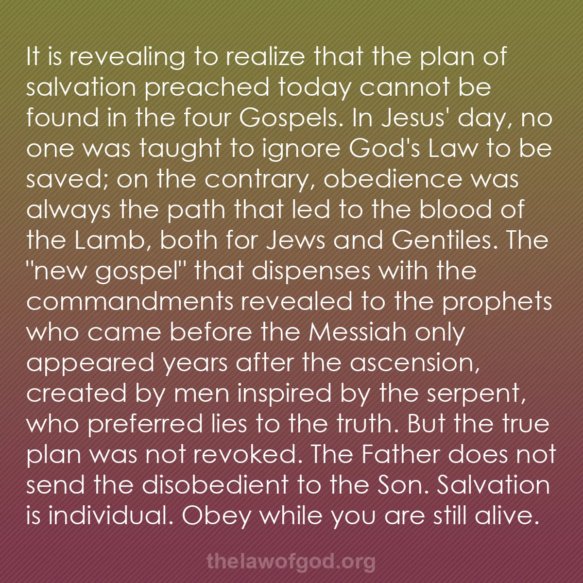 b036 - Post about the Law of God: It is revealing to realize that the plan of salvation preached...