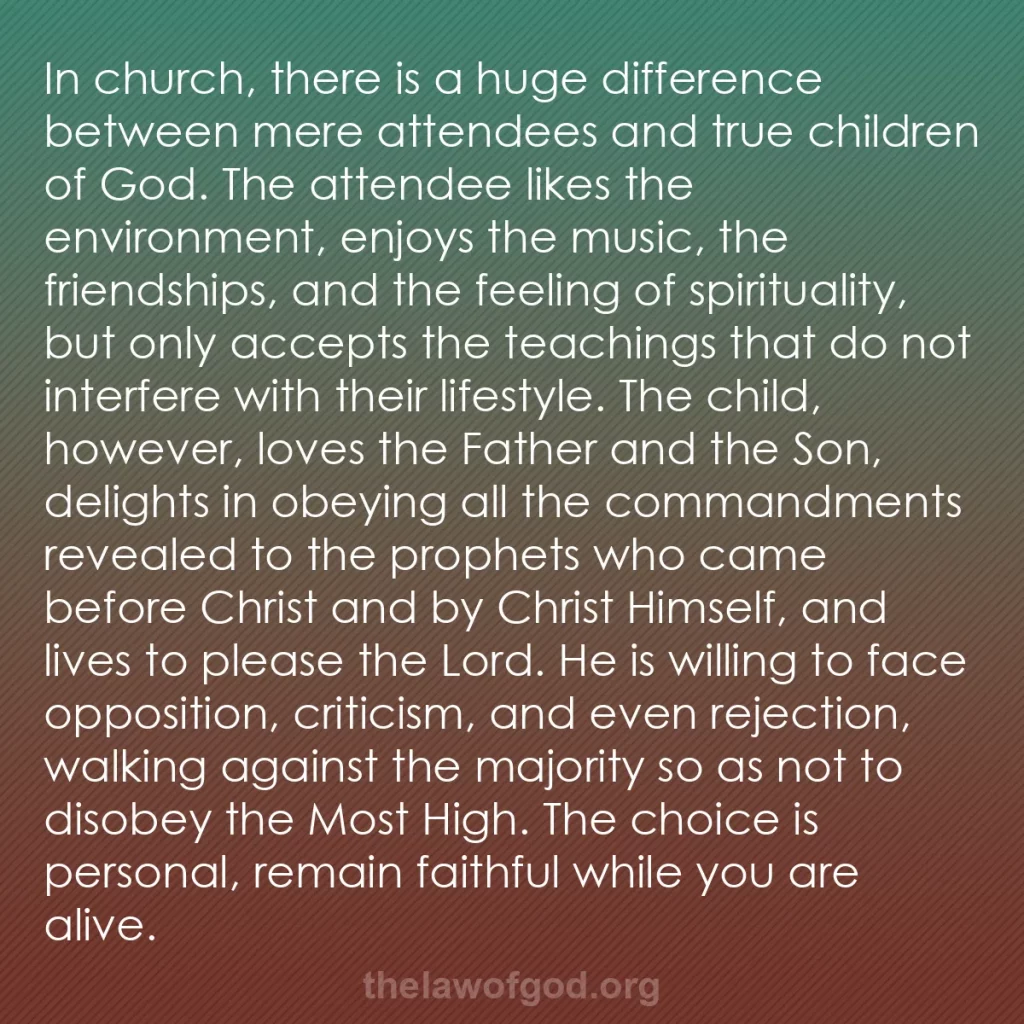 b0373 - Post about the Law of God: In church, there is a huge difference between mere attendees...