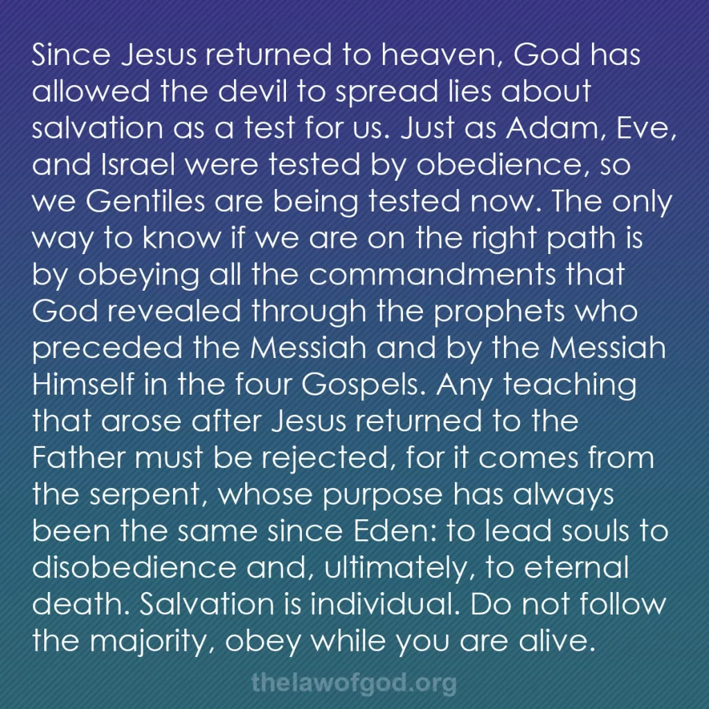 b0377 - Post about the Law of God: Since Jesus returned to heaven, God has allowed the devil to...