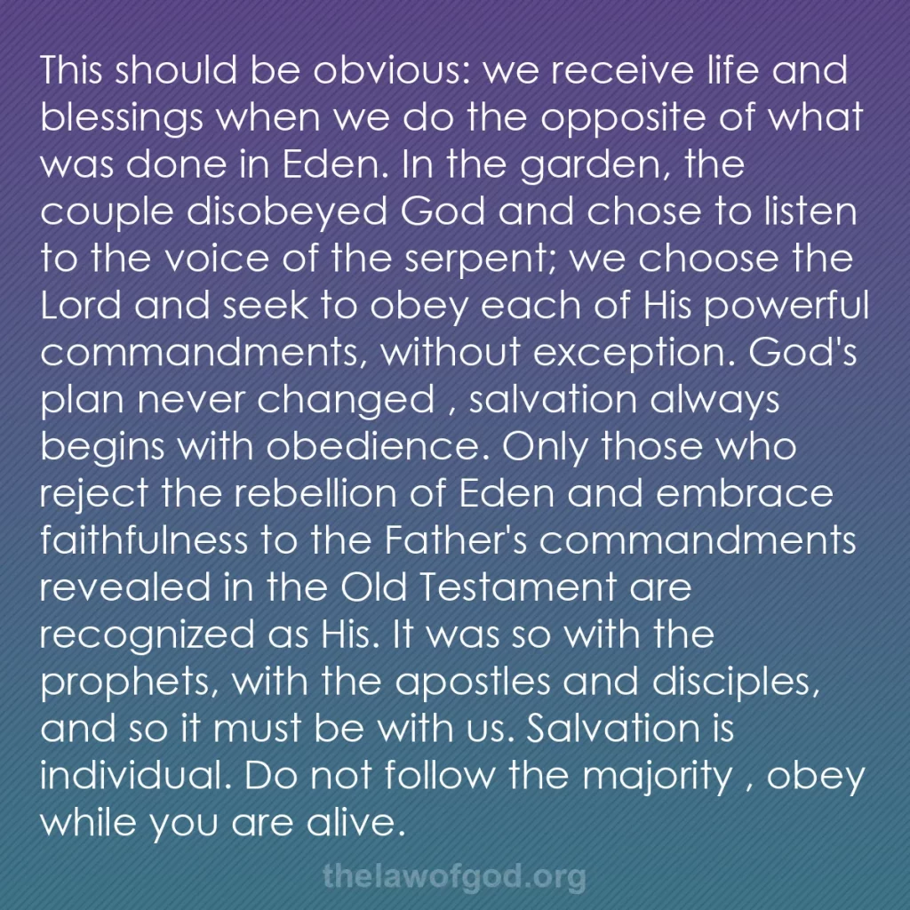 b0402 - Post about the Law of God: This should be obvious: we receive life and blessings when we...