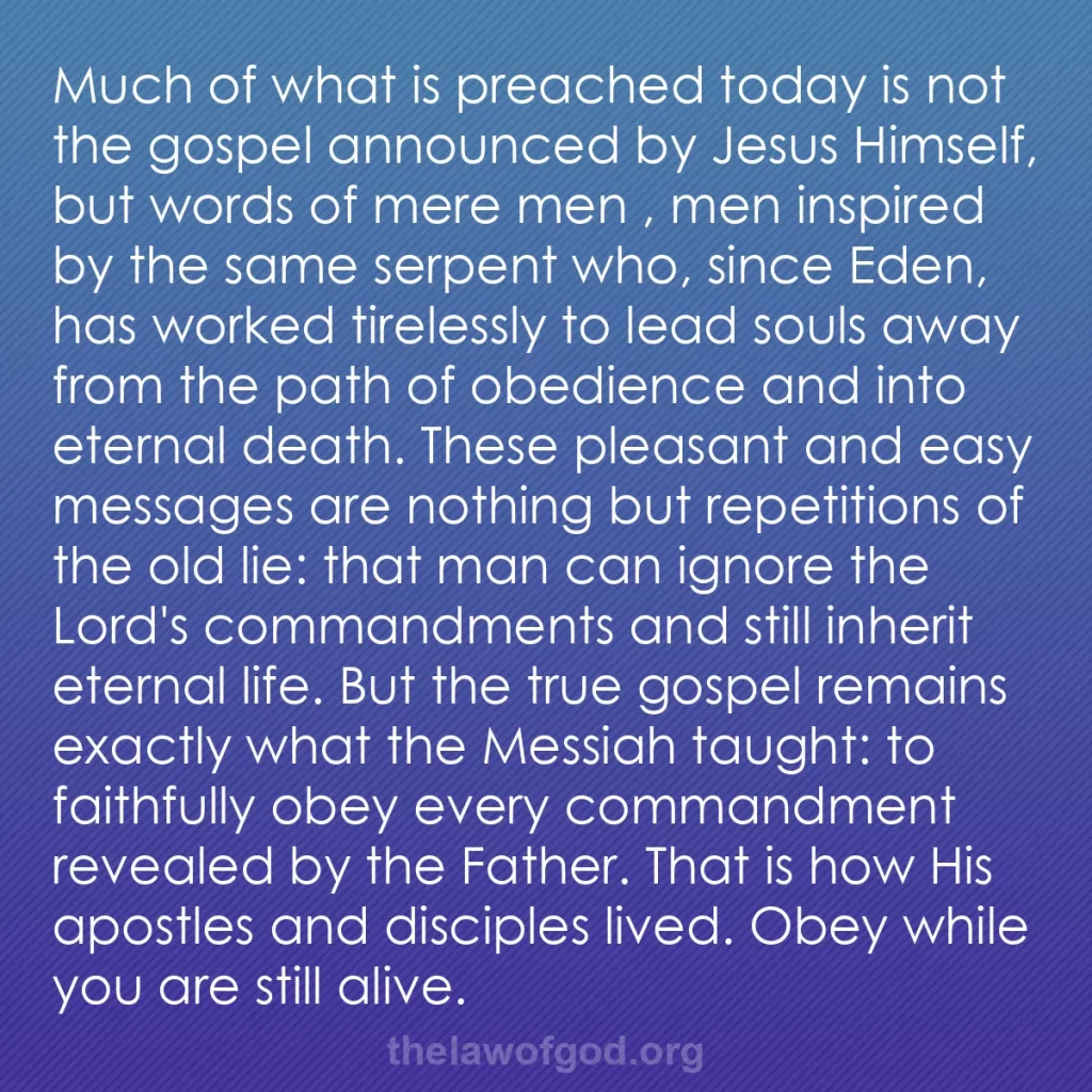 b0407 - Post about the Law of God: Much of what is preached today is not the gospel announced by...