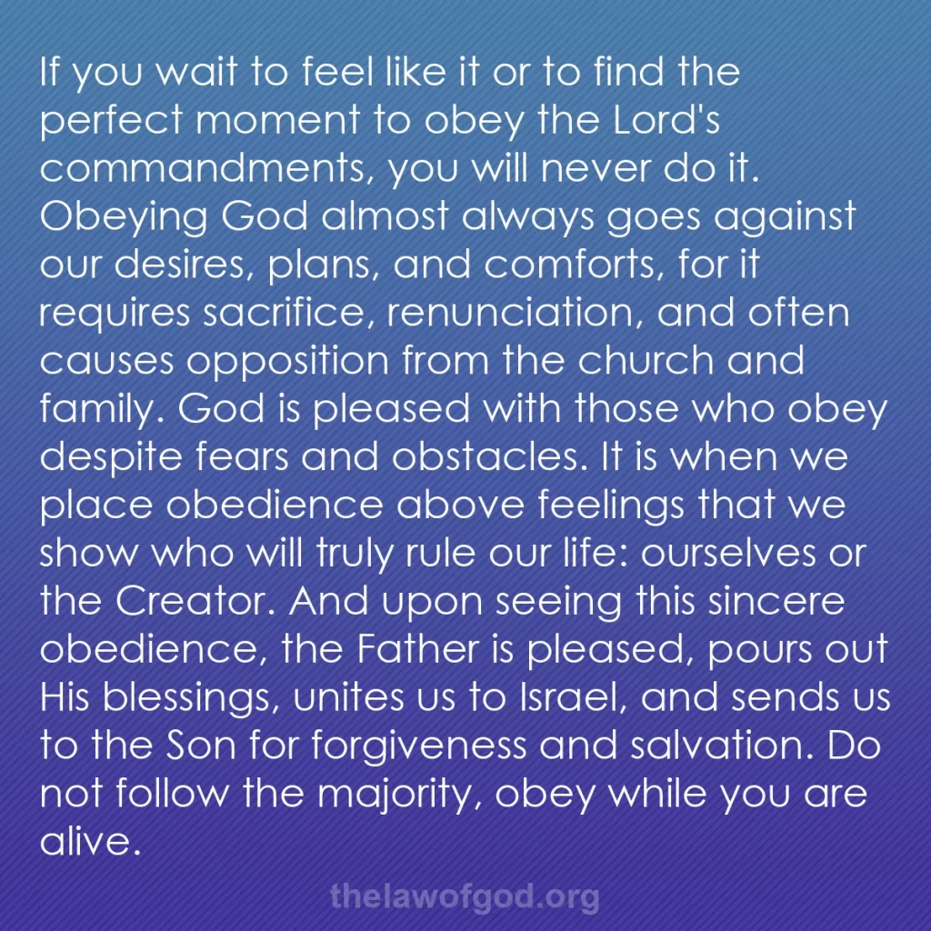 b0427 - Post about the Law of God: If you wait to feel like it or to find the perfect moment to...