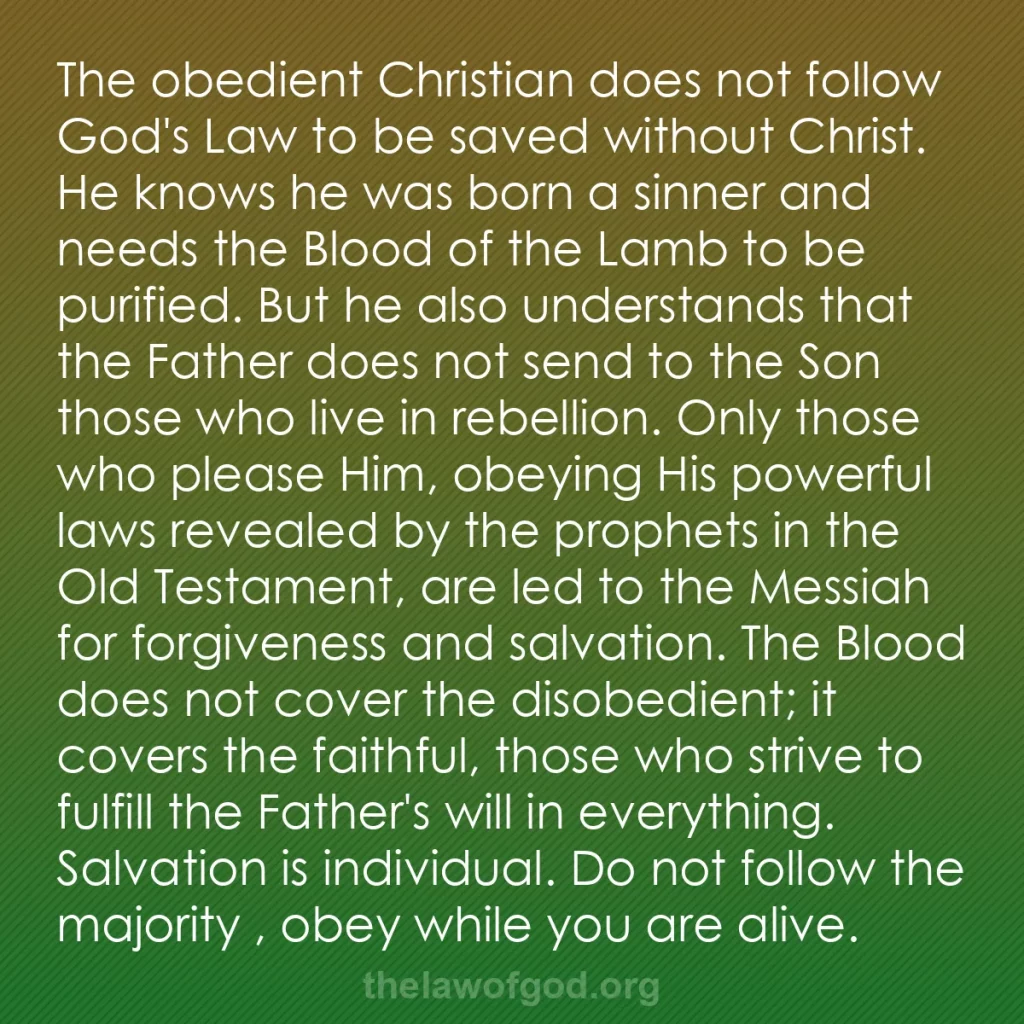 b0456 - Post about the Law of God: The obedient Christian does not follow God's Law to be saved...