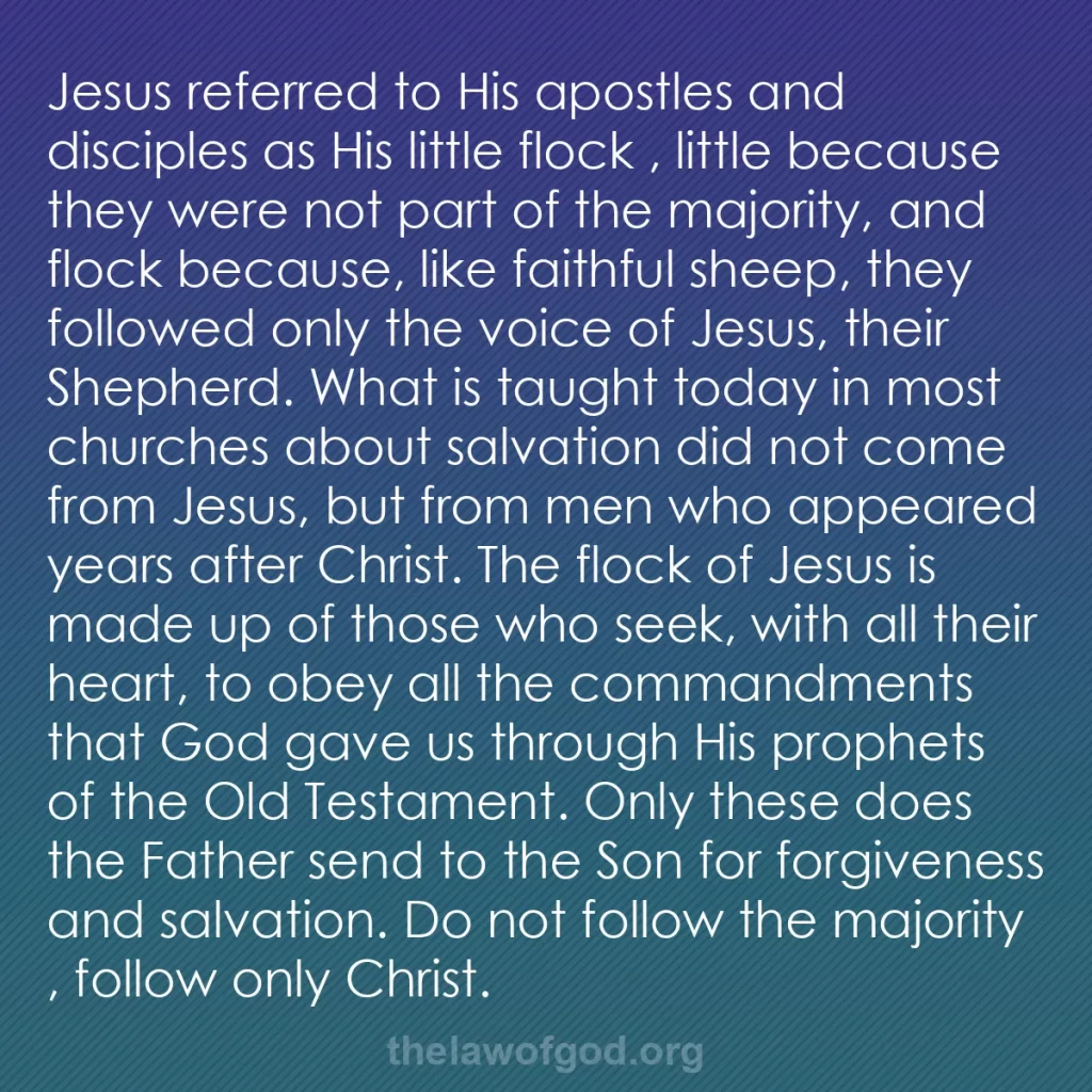 b0457 - Post about the Law of God: Jesus referred to His apostles and disciples as His little flock...
