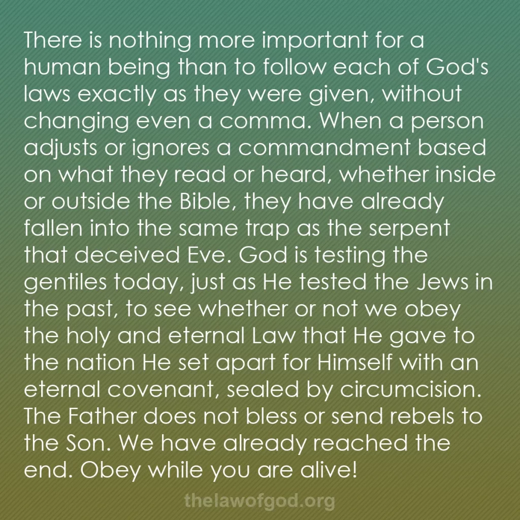 b0463 - Post about the Law of God: There is nothing more important for a human being than to follow...