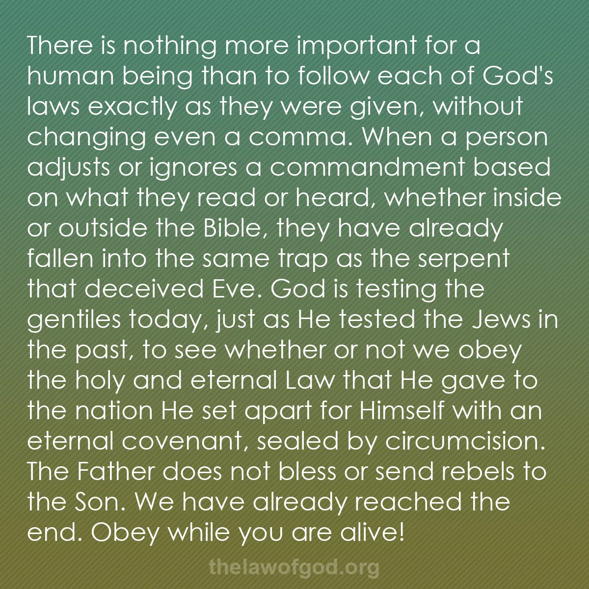 b046 - Post about the Law of God: There is nothing more important for a human being than to follow...