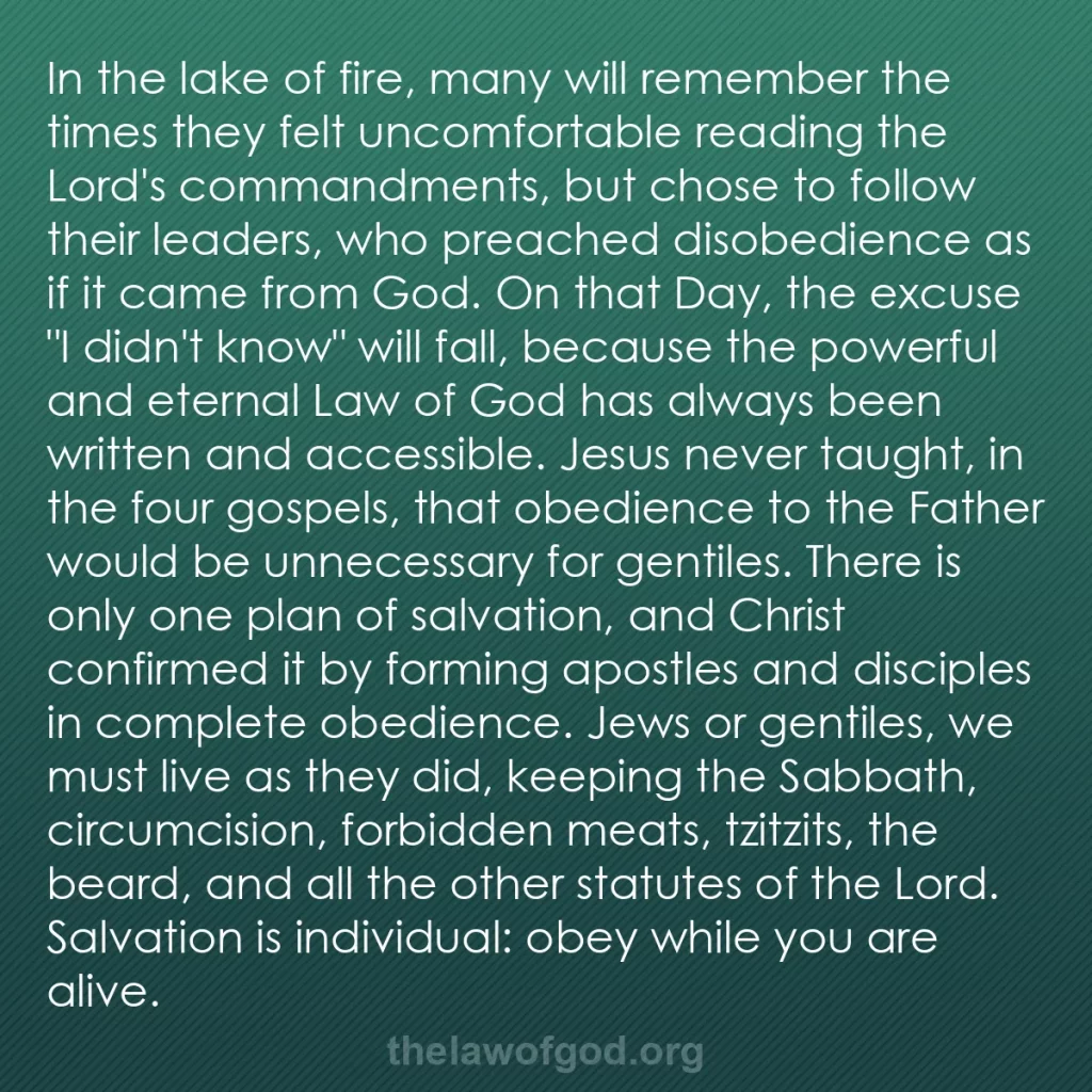 b0500 - Post about the Law of God: In the lake of fire, many will remember the times they felt...