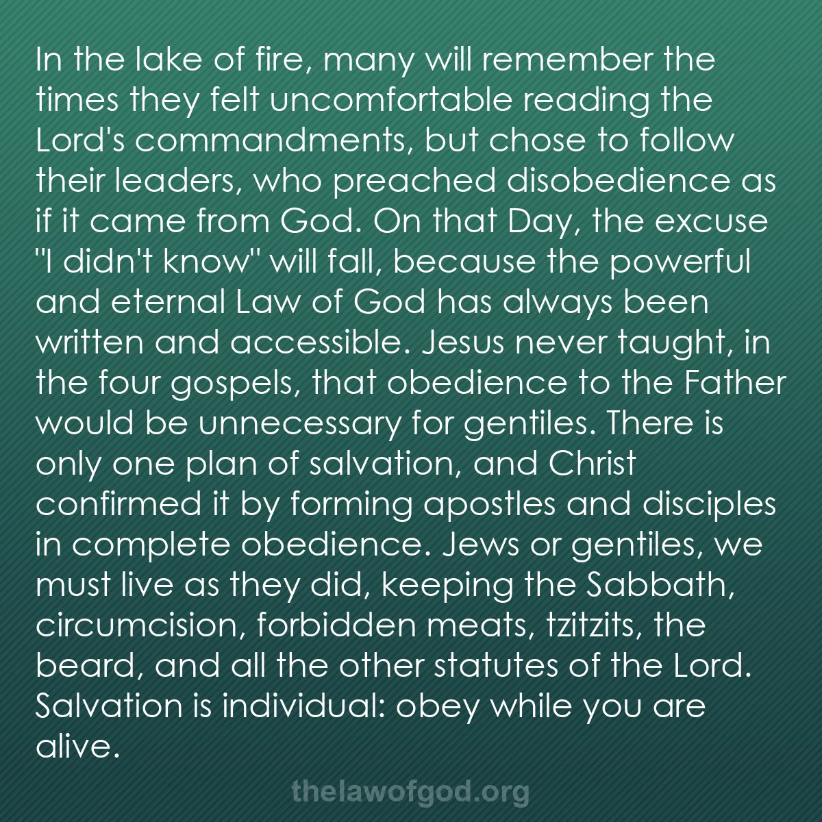 b050 - Post about the Law of God: In the lake of fire, many will remember the times they felt...