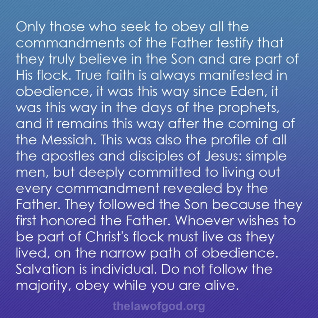 b0507 - Post about the Law of God: Only those who seek to obey all the commandments of the Father...