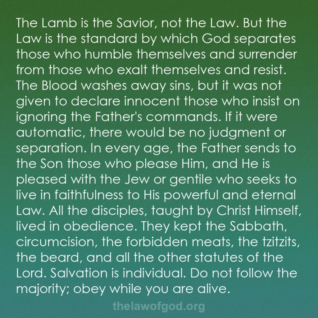 b0510 - Post about the Law of God: The Lamb is the Savior, not the Law. But the Law is the standard...