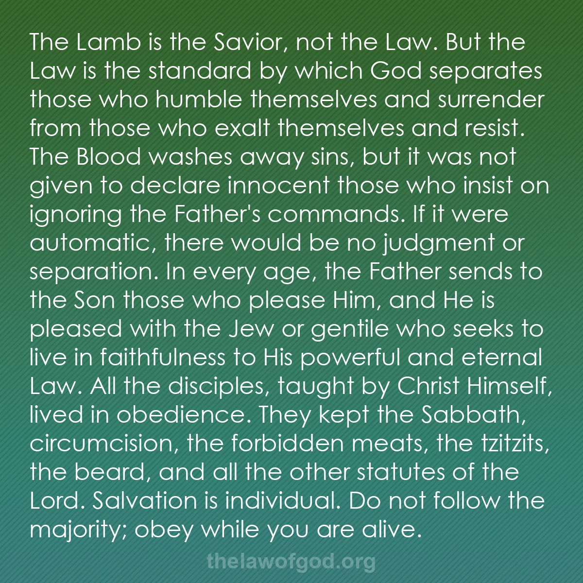 b051 - Post about the Law of God: The Lamb is the Savior, not the Law. But the Law is the standard...