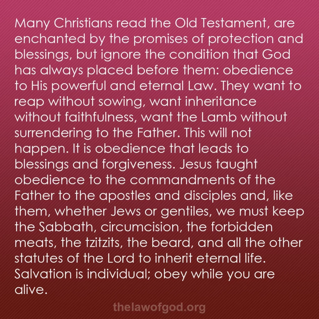 b0519 - Post about the Law of God: Many Christians read the Old Testament, are enchanted by the...