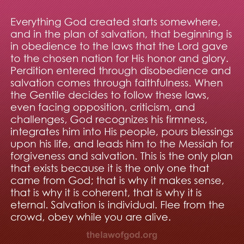 b0539 - Post about the Law of God: Everything God created starts somewhere, and in the plan of...